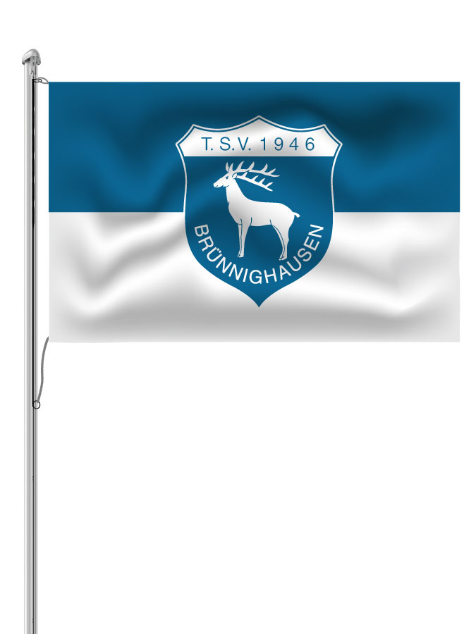 Hissfahne Logo