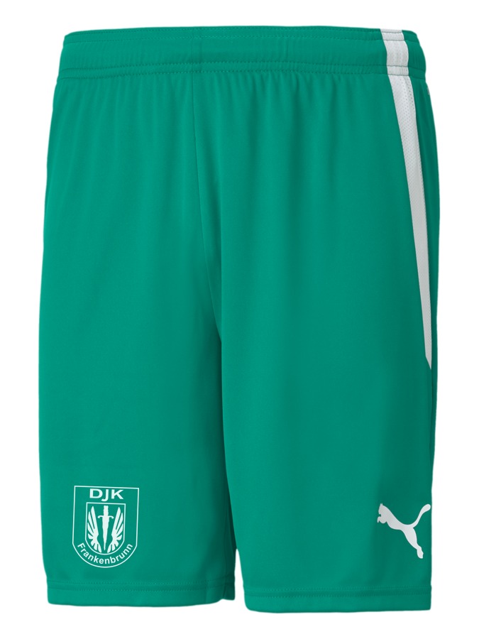 PUMA teamLIGA Shorts