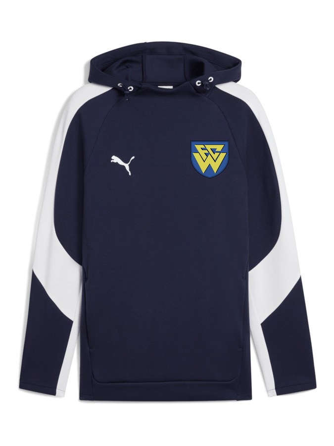 PUMA teamEVOSTRIPE Hoody