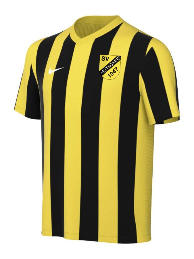 Nike Striped Division V Trikot Kinder