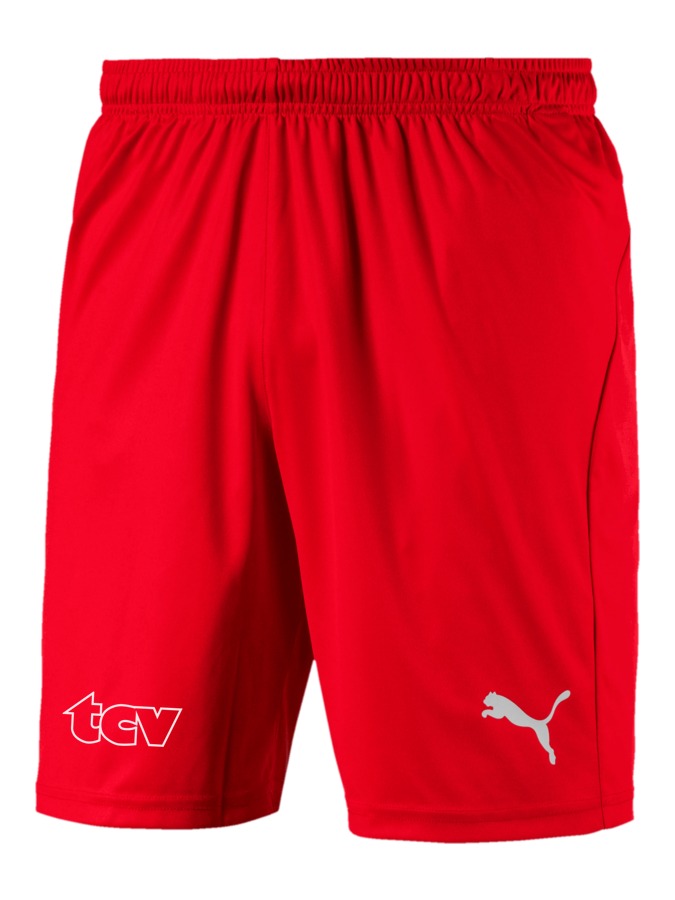 PUMA LIGA Shorts Core