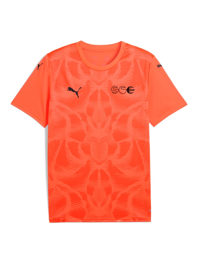 PUMA teamULTIMATE Trikot