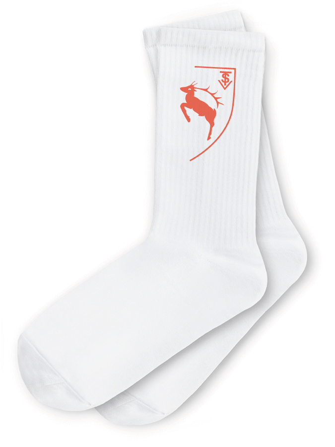 Sportsocken Logo
