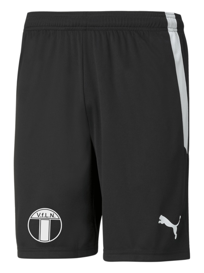 PUMA teamLIGA Shorts