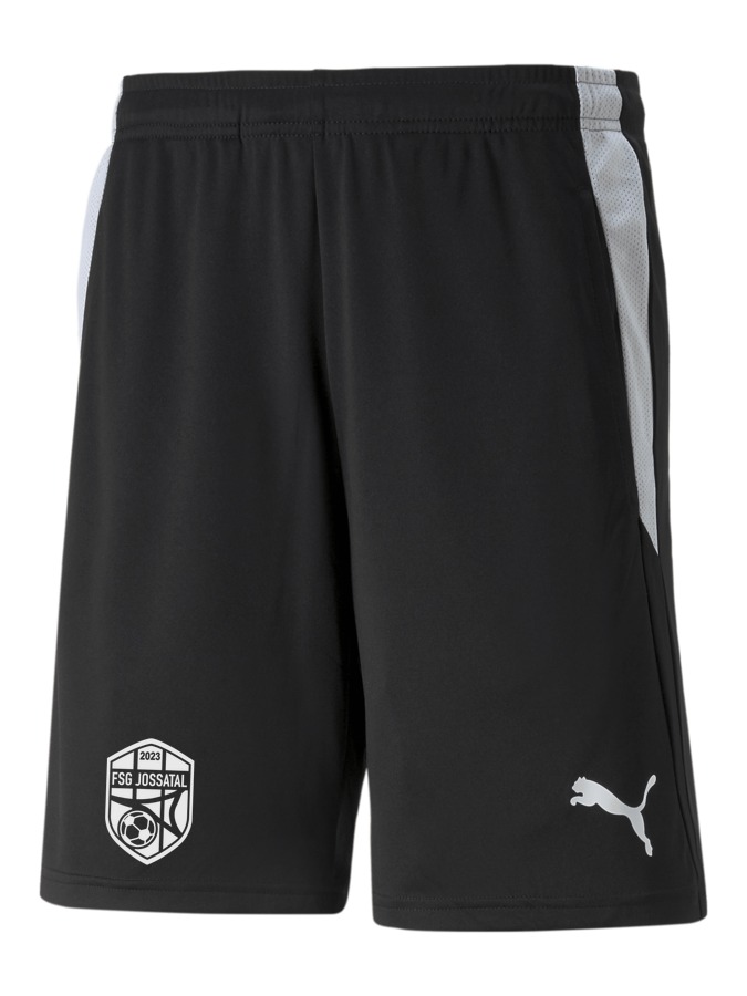 PUMA teamLIGA Referee Shorts