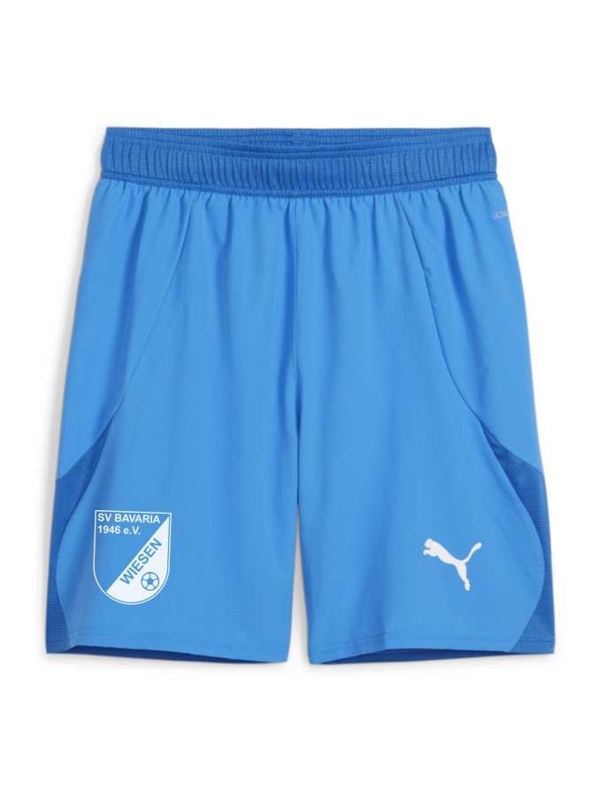 PUMA teamFINAL Shorts