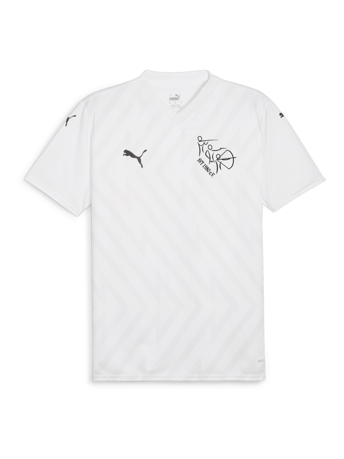 PUMA teamGLORY Trikot