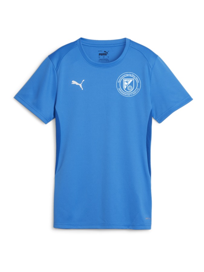 PUMA teamGOAL Trikot Damen