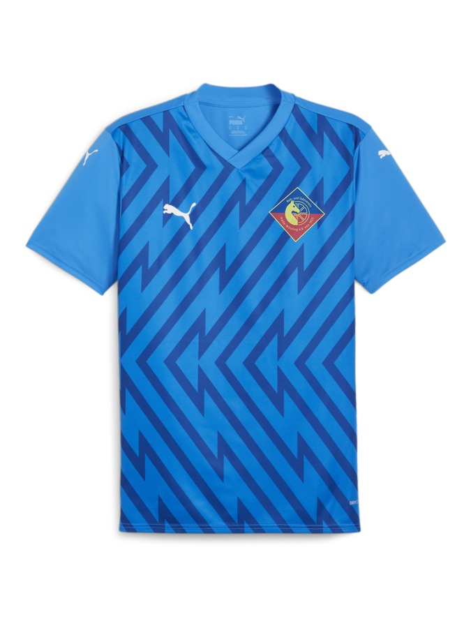 PUMA teamGLORY Trikot