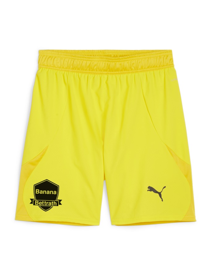 PUMA teamFINAL Shorts