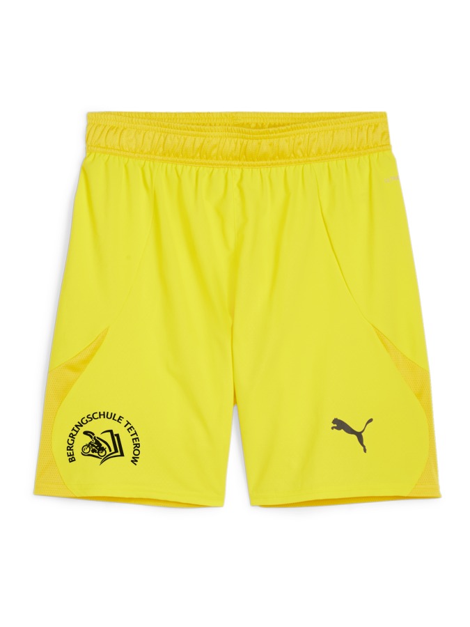 PUMA teamFINAL Shorts