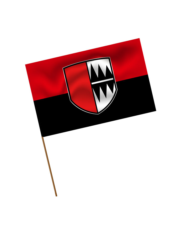 Stadionfahne Logo