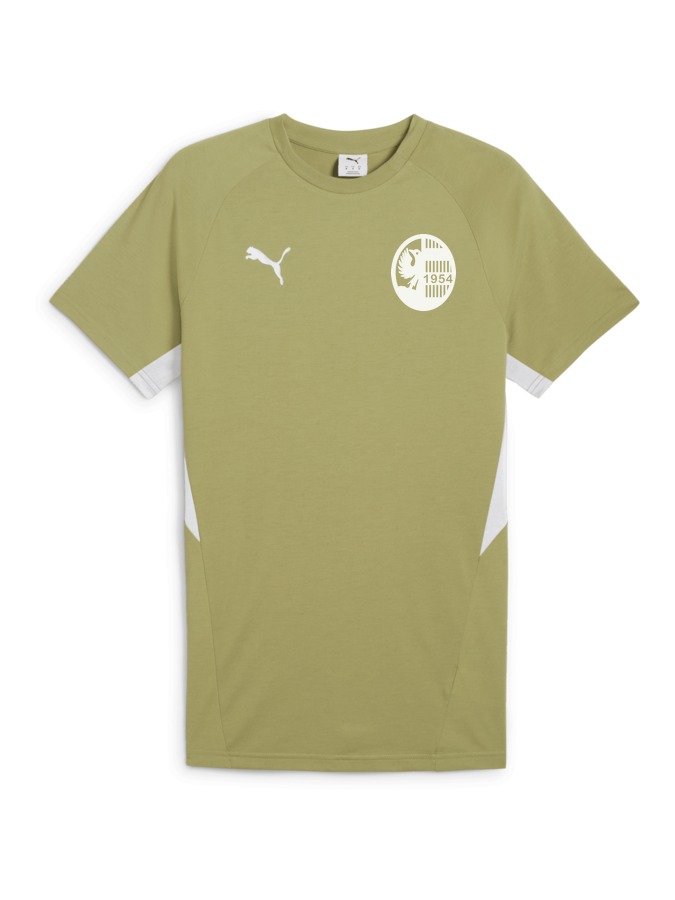 PUMA teamEVOSTRIPE T-Shirt