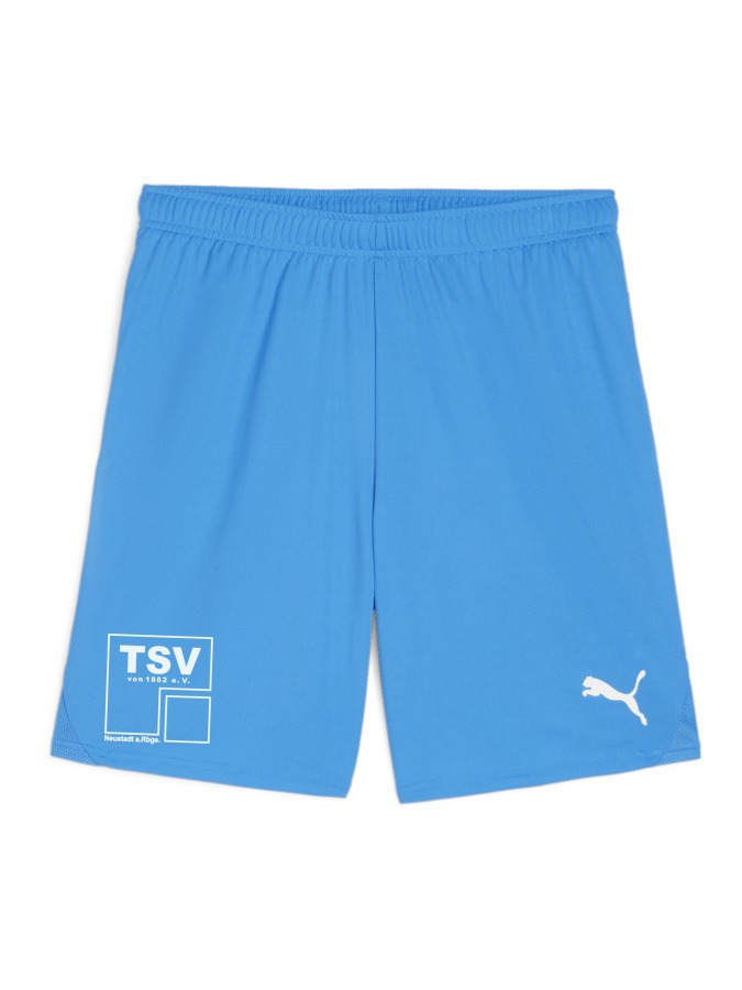 PUMA teamGOAL Shorts