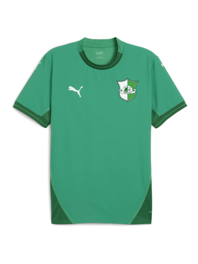 PUMA teamFINAL Trikot