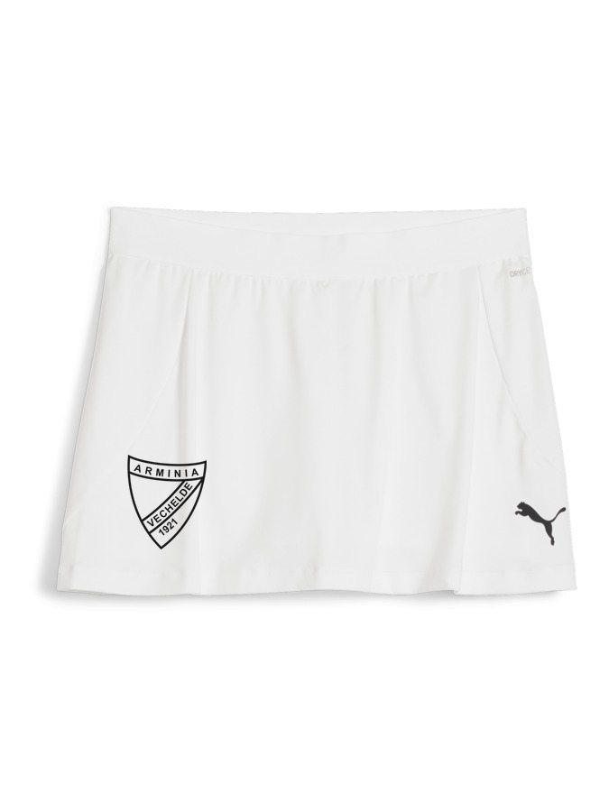 PUMA teamGOAL Rock