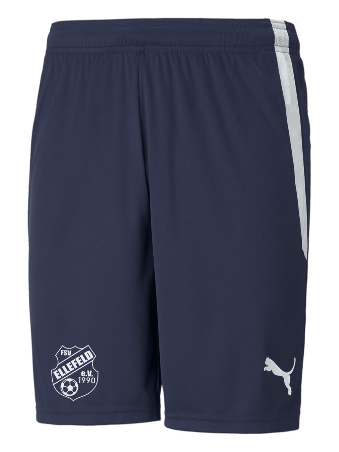 PUMA teamLIGA Shorts