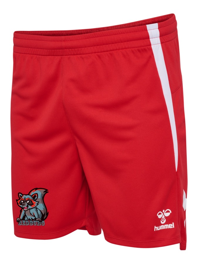 Hummel Lead 2.0 Shorts