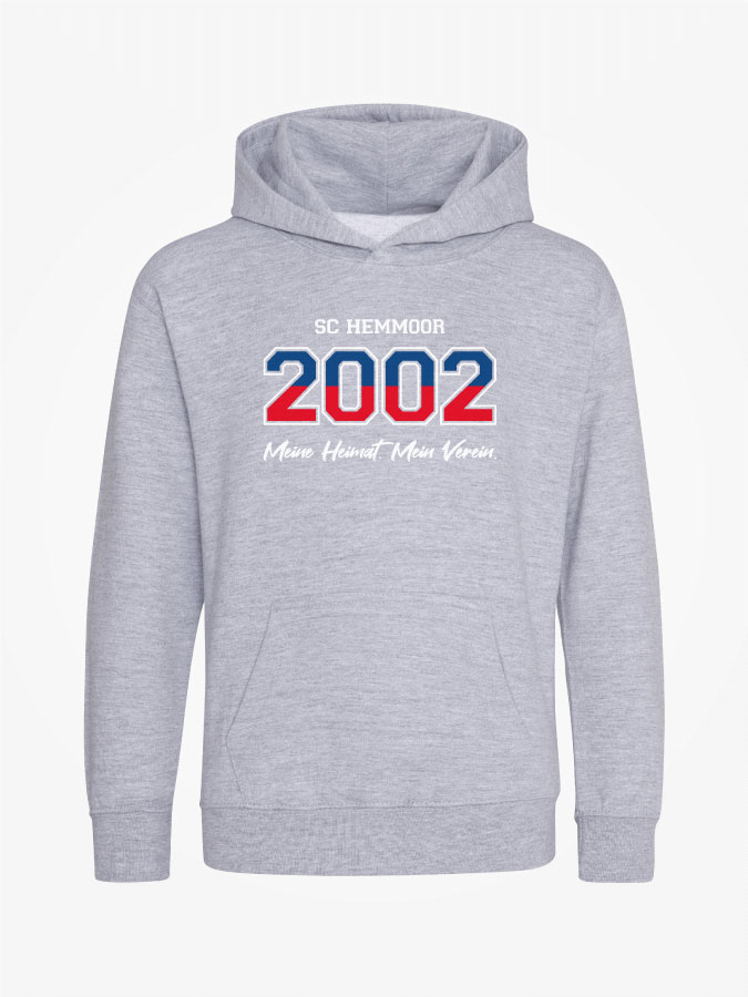Hoodie Established Kids