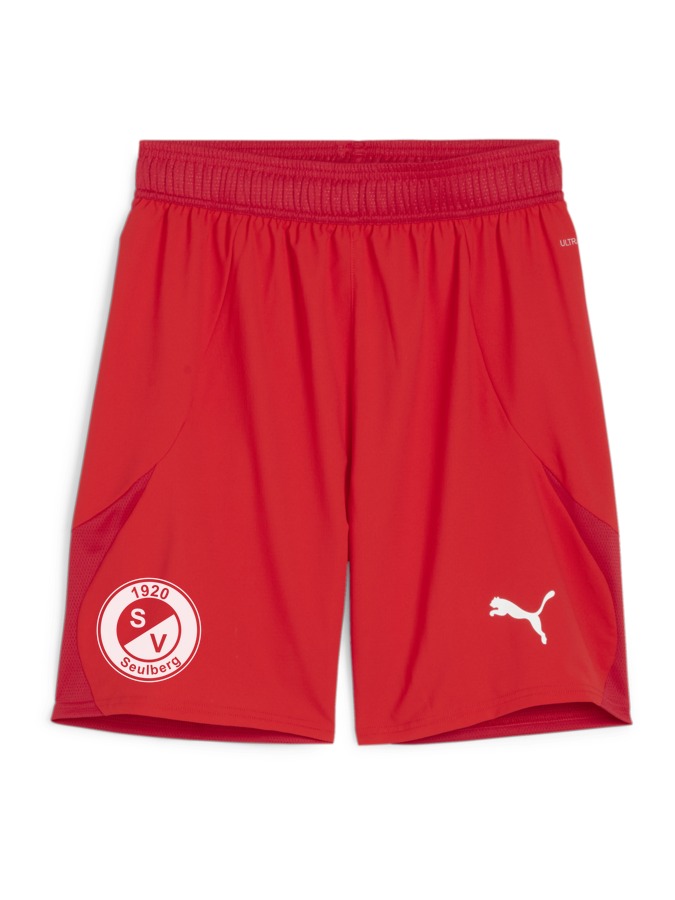 PUMA teamFINAL Shorts