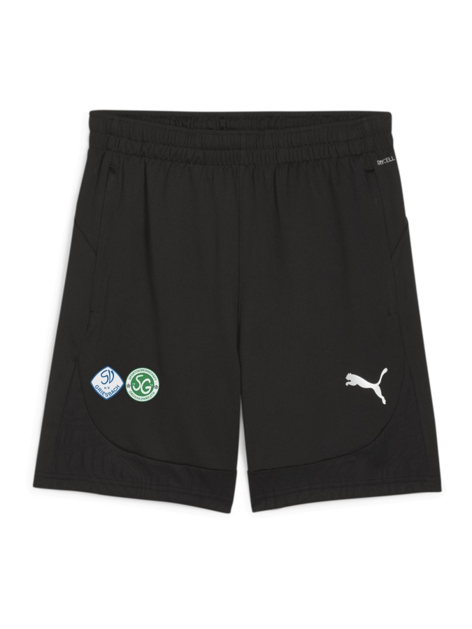PUMA teamFINAL Training Shorts
