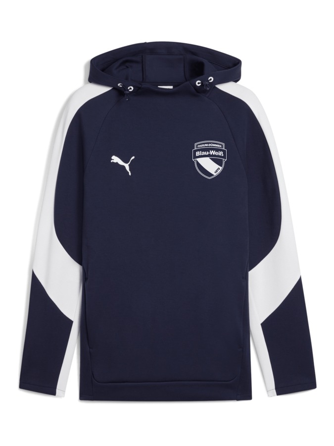 PUMA teamEVOSTRIPE Hoody