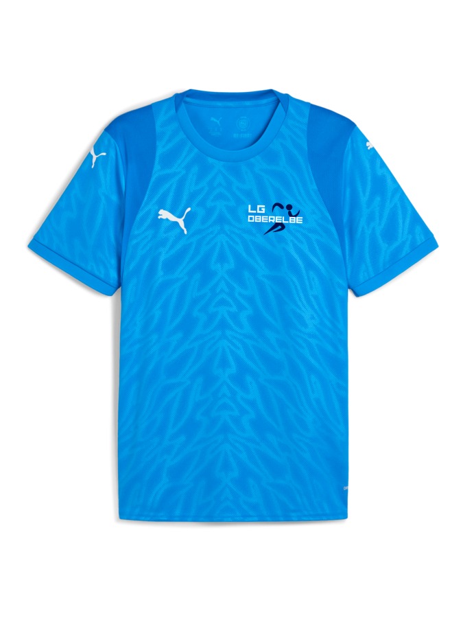PUMA teamCUP Trikot