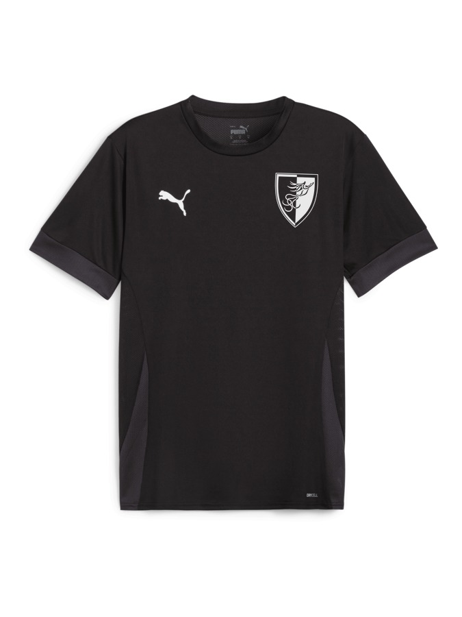 PUMA teamGOAL Matchday Trikot