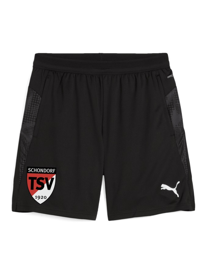 PUMA teamCUP Training Shorts