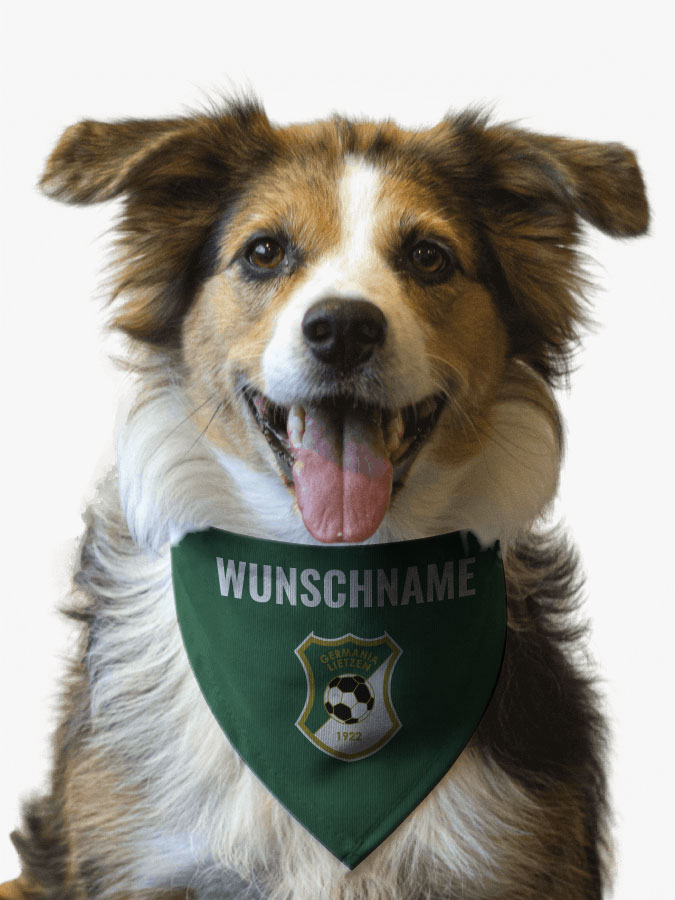 Hundehalstuch