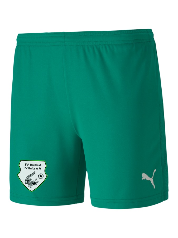 PUMA teamGOAL 23 Knit Shorts Damen