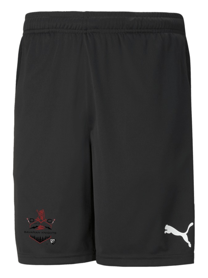 PUMA teamRISE Training Shorts