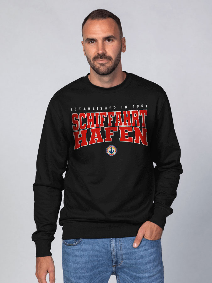 Sweater Retro Herren