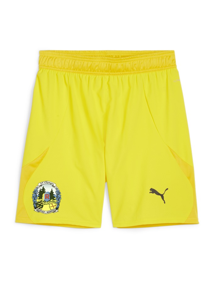 PUMA teamFINAL Shorts