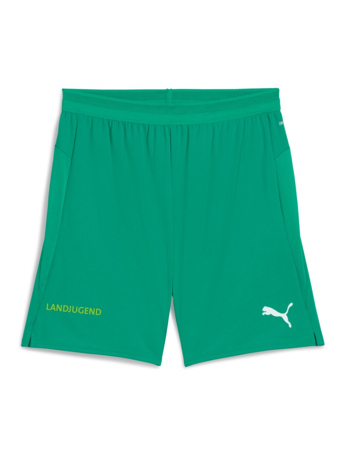 PUMA teamCUP Shorts