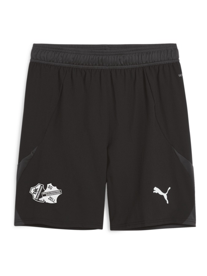 PUMA teamFINAL Shorts