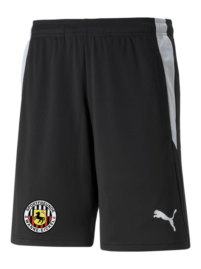 PUMA teamLIGA Referee Shorts