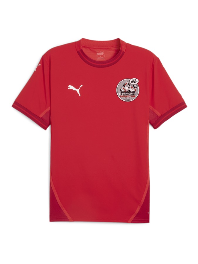 PUMA teamFINAL Trikot