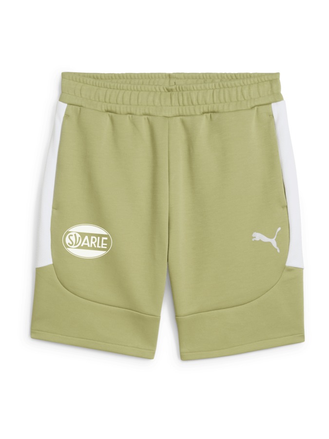 PUMA teamEVOSTRIPE Shorts