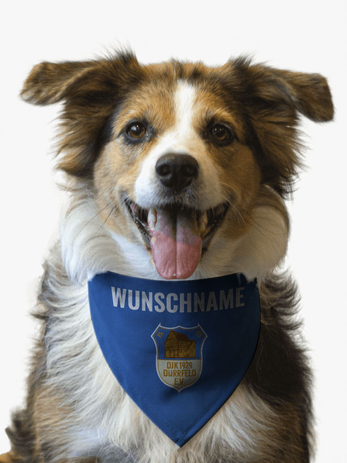 Hundehalstuch
