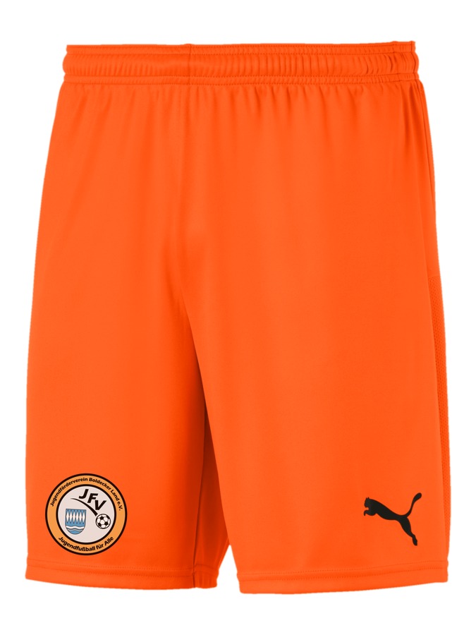 PUMA teamGOAL 23 Knit Shorts