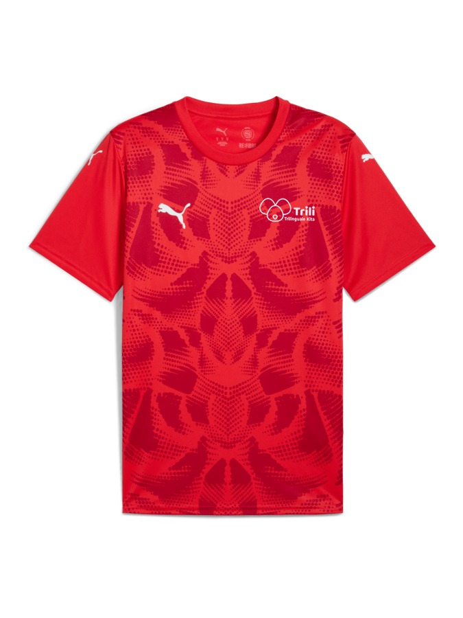 PUMA teamULTIMATE Trikot
