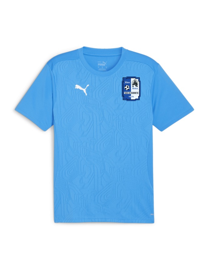 PUMA teamFINAL Trainingsshirt