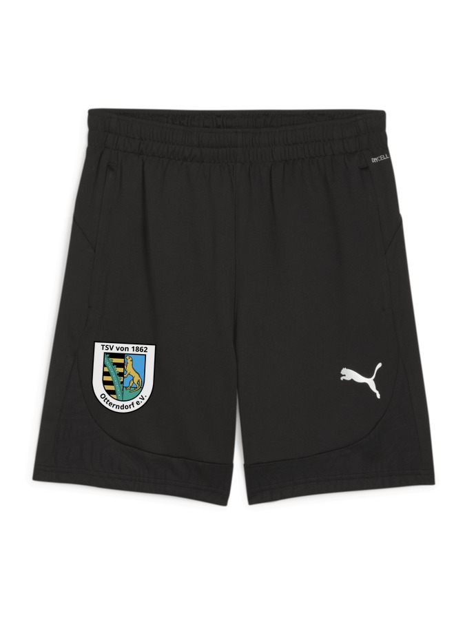 PUMA teamFINAL Training Shorts