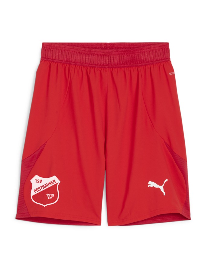 PUMA teamFINAL Shorts
