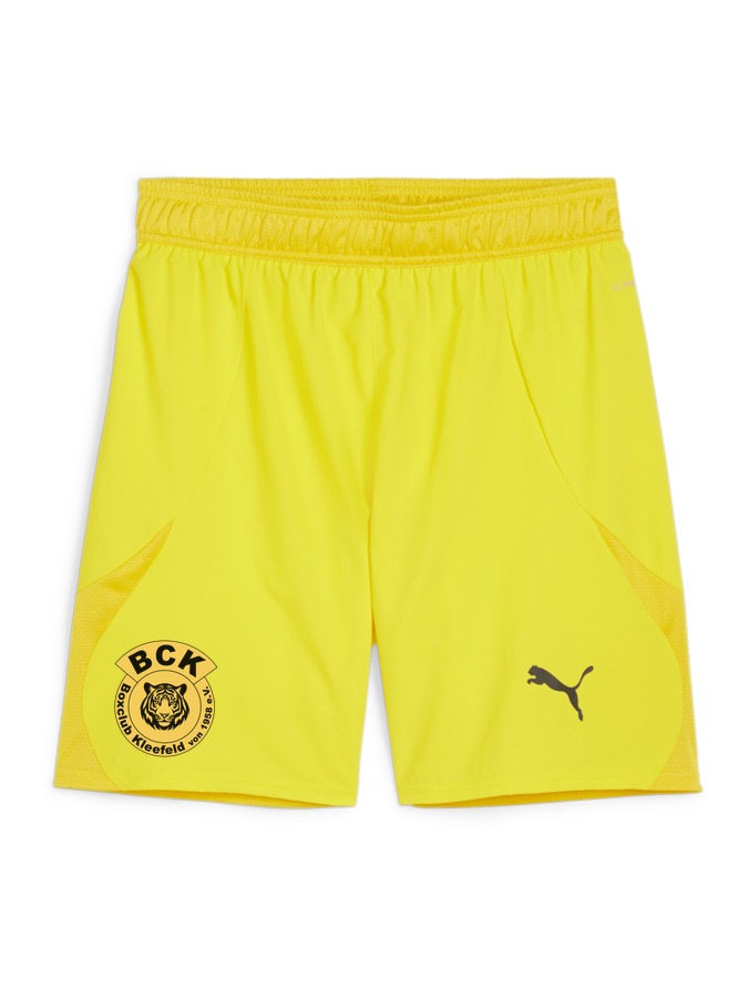 PUMA teamFINAL Shorts