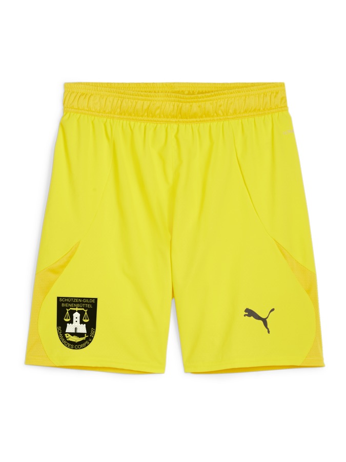 PUMA teamFINAL Shorts