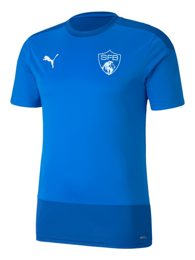 PUMA teamGOAL 23 Trainingsshirt