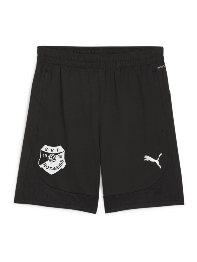 PUMA teamFINAL Training Shorts