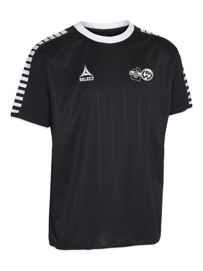 Select Argentina Trikot
